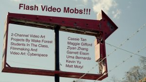 FLASH VIDEO MOBS poster image